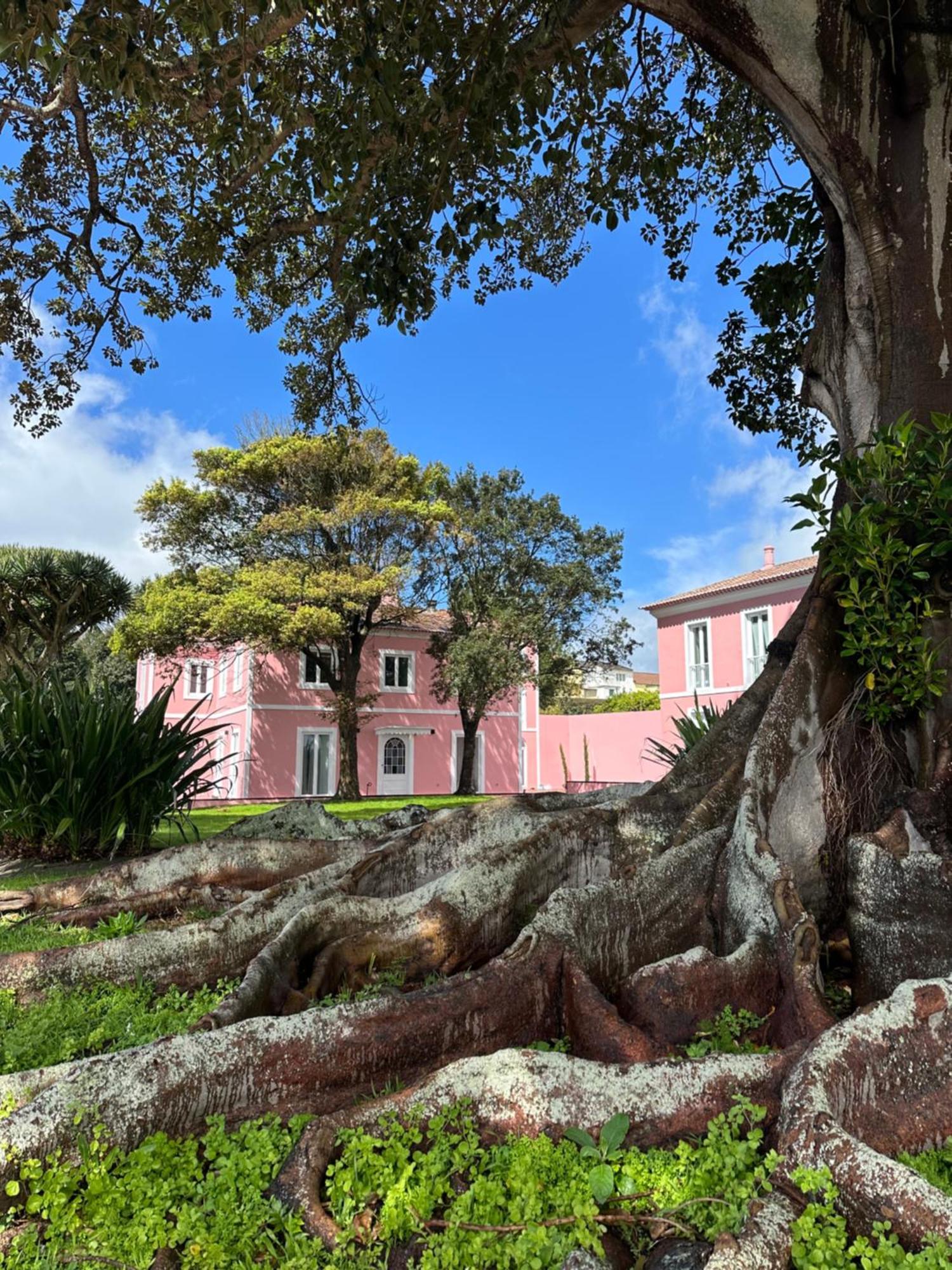 Solar Dos Cantos Botanic House & Garden Πόντα Ντελγκάντα Εξωτερικό φωτογραφία