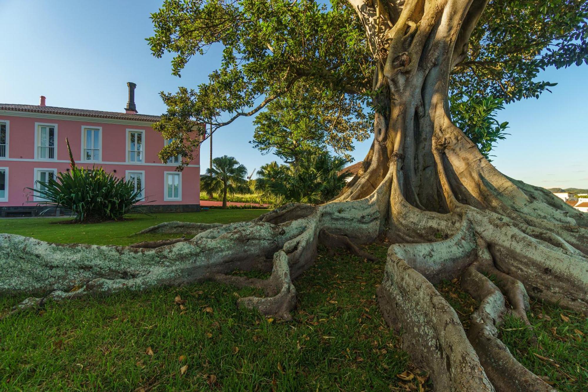 Solar Dos Cantos Botanic House & Garden Πόντα Ντελγκάντα Εξωτερικό φωτογραφία