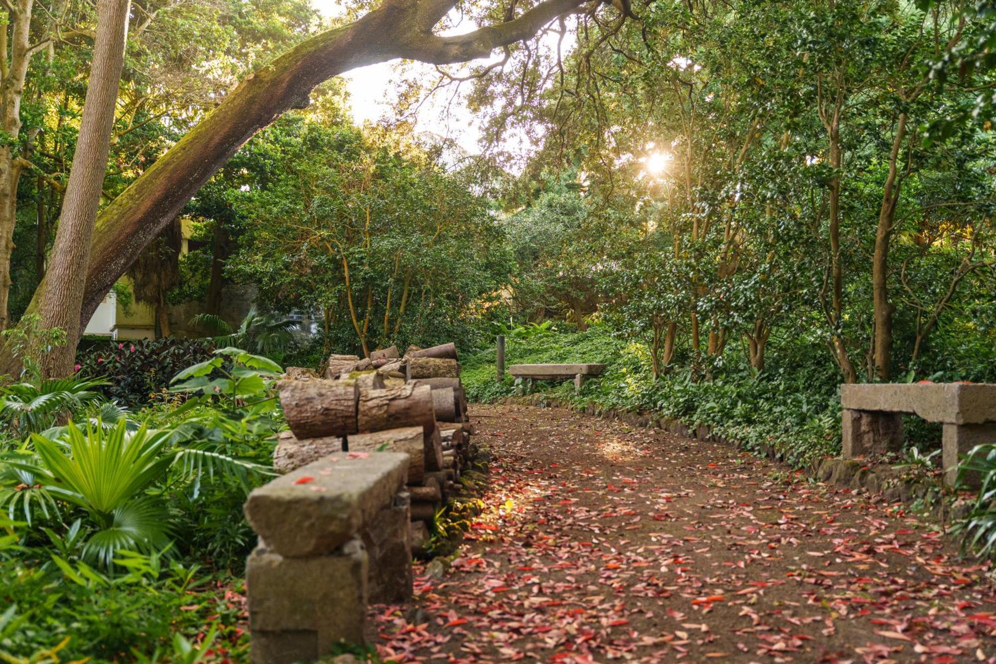 Solar Dos Cantos Botanic House & Garden Πόντα Ντελγκάντα Εξωτερικό φωτογραφία
